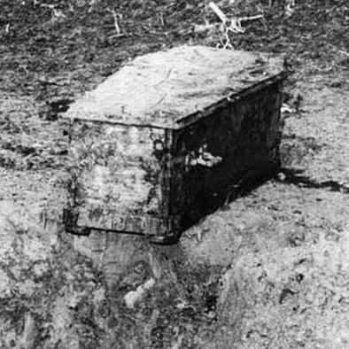 Su that hai hung vu dao trom mo vua he Sac lo-Hinh-5