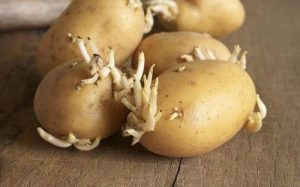 Những thực phẩm tưởng an toàn nhưng lại có thể gây hại ảnh 1