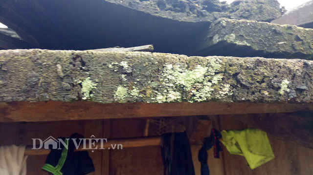 Làng 100% hộ nghèo nhưng nhà toàn bằng gỗ quý ảnh 10