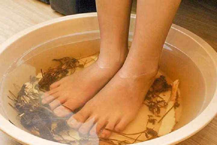 cong dung chua benh bat ngo cua cay rau muoi hinh 8