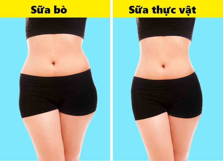 1103060-21688010-27-2-0-1527595375-1527595478-1500-1-1527595478-728-ccdddea68f-1527752870