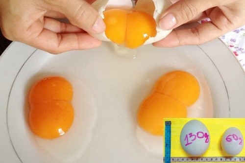 Trứng gà hai lòng cho dinh dưỡng tốt 