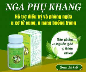 Hỗ trợ điều trị u xơ tử cung 