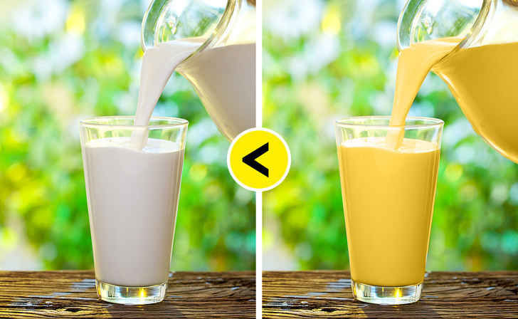 1102860-19087610-23-0-1527081703-1527081707-1500-1-1527081707-728-1f5b5c1235-1527752870