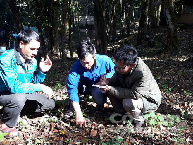 Công phu nghề săn chuột quý tộc - Ảnh 3.