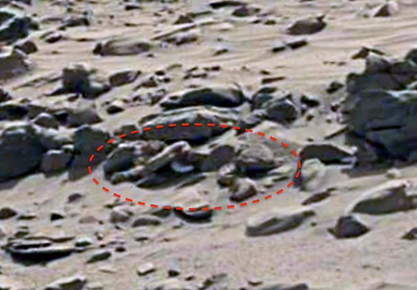 xương người ngoài hành tinh 1