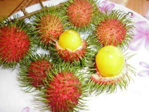 Chôm chôm hoang dại 