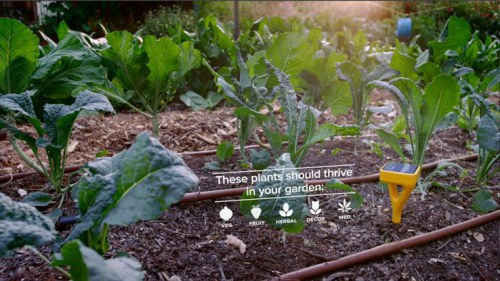 Những ứng dụng công nghệ hiện đại nhất trong nông nghiệp - 5