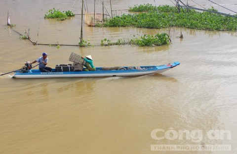 Những xóm du cư mùa nước nổi - Ảnh 2.