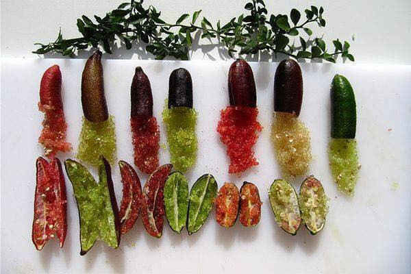 Chanh ngon tay vi la 3,5 trieu/kg lam chi em “phat sot“-Hinh-6