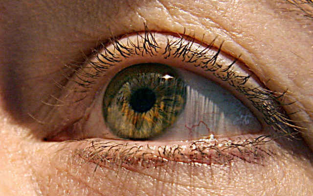 Miếng dán được ghép vào mắt bị tổn thương để tăng cường các tế bào nhạy cảm với ánh sáng