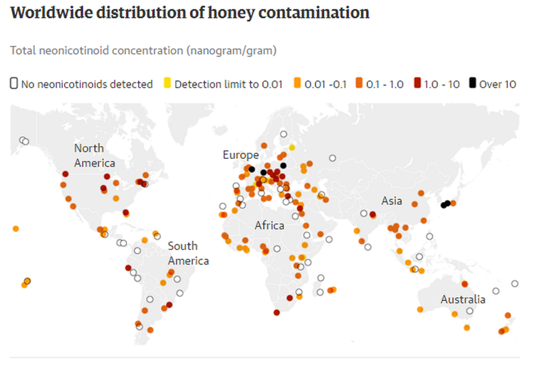 Hiểu đúng về mật ong nhiễm thuốc trừ sâu ảnh 1