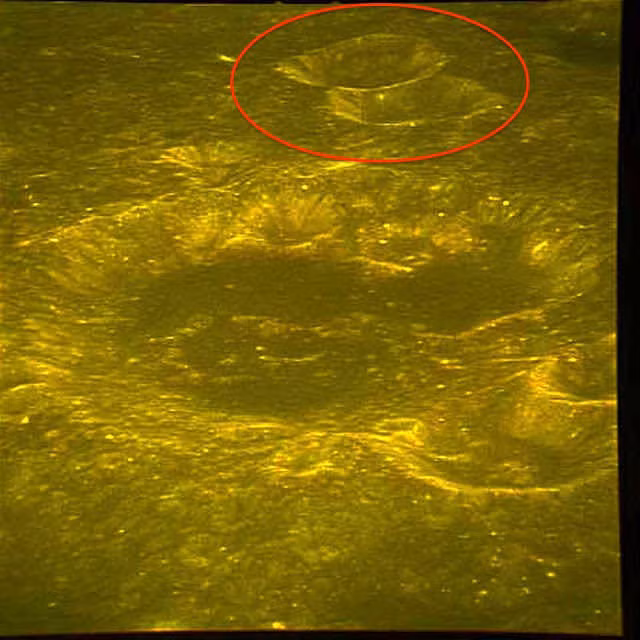 cấu trúc quái đản 1