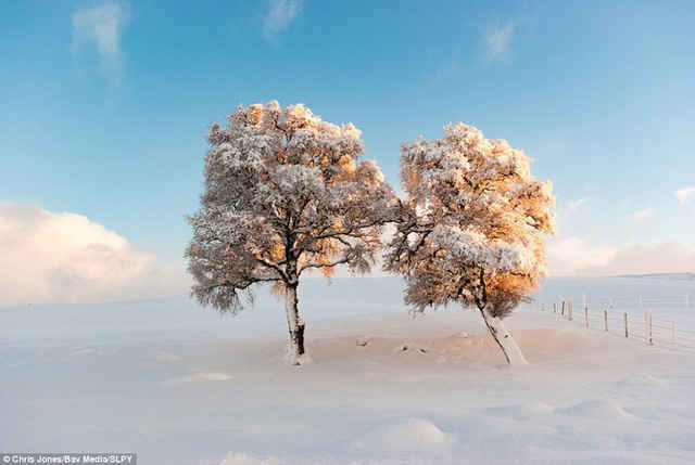 Khám phá Scotland qua những bức ảnh tuyệt đẹp ảnh 7