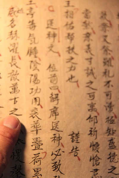 Hoạt nhân toát yếu ảnh 4