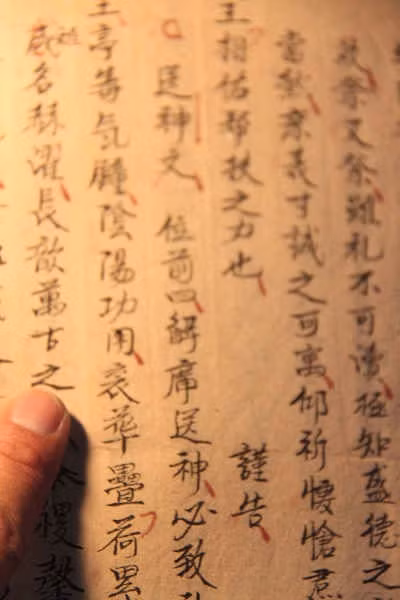 Hoạt nhân toát yếu ảnh 4