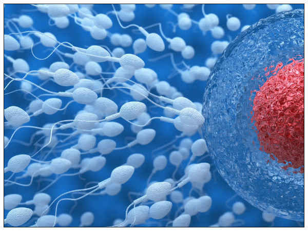 Chan doan tinh trang suc khoe quy ong qua mau sac tinh dich