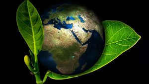 Tia vũ trụ phát ra từ sao nổ “đe dọa” Trái đất ra sao? ảnh 1