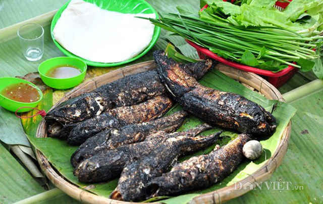 Thịt cá tràu tiến vua ăn rất chắc và thơm.(Ảnh: danviet)