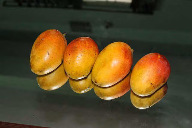 Điều thú vị bạn chưa biết về quả xoài: Làm tăng ham muốn tình dục ảnh 8