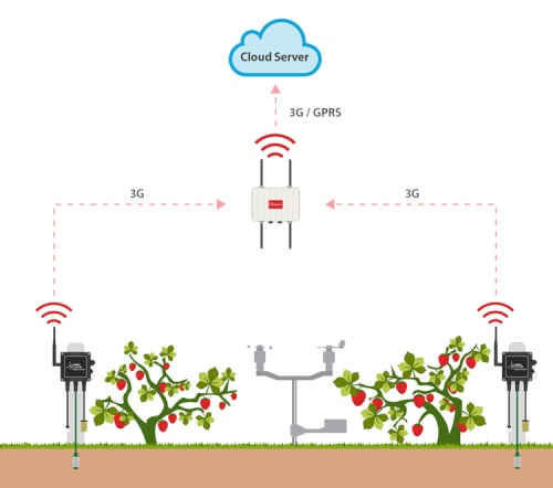 Những ứng dụng công nghệ hiện đại nhất trong nông nghiệp - 2