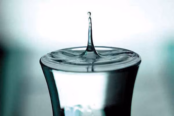 Có bằng chứng thì đưa đây cho tôi! ảnh 2