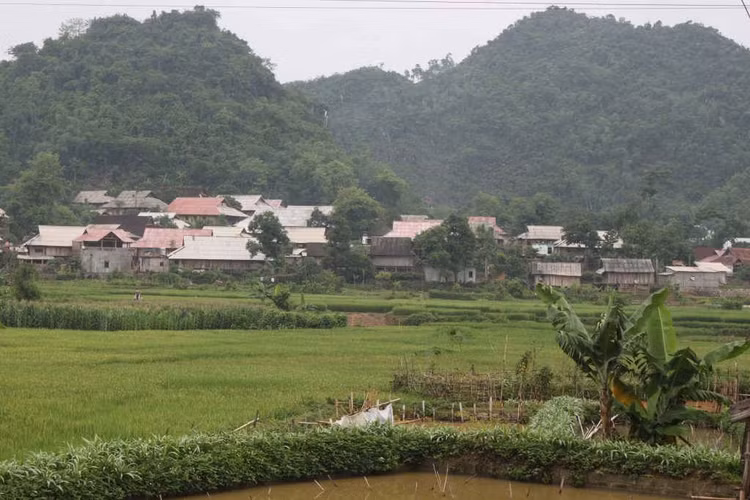 Thôm Mòn trong cơn “lốc trắng” ảnh 3