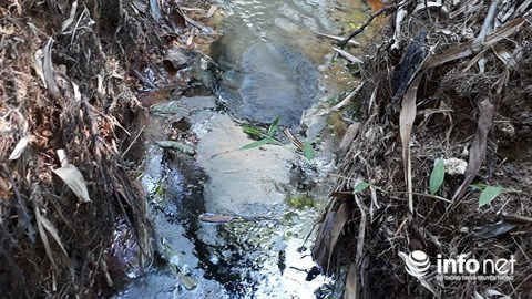 Dòng nước ra khe bên ngoài tường bao có váng dầu và đen kịt.