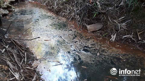 Mương nước có nhiều váng dầu nổi lên, màu đen, mùi nồng và hắc rất khó chịu.