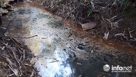 Mương nước có nhiều váng dầu nổi lên, màu đen, mùi nồng và hắc rất khó chịu.