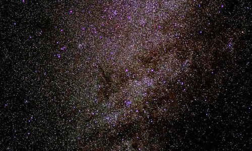 thu thập “DNA”