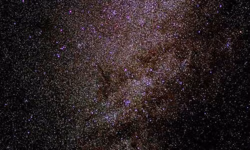 thu thập “DNA”