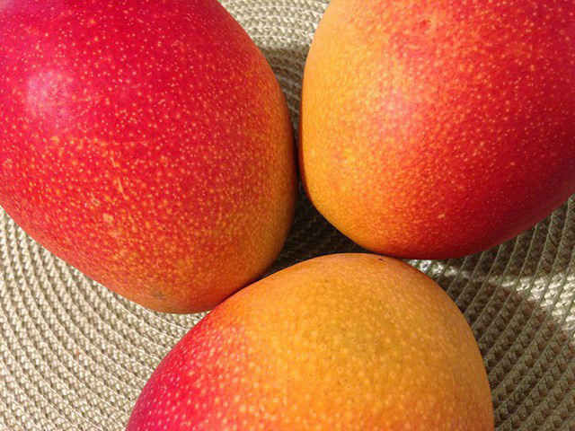 Điều thú vị bạn chưa biết về quả xoài: Làm tăng ham muốn tình dục ảnh 1