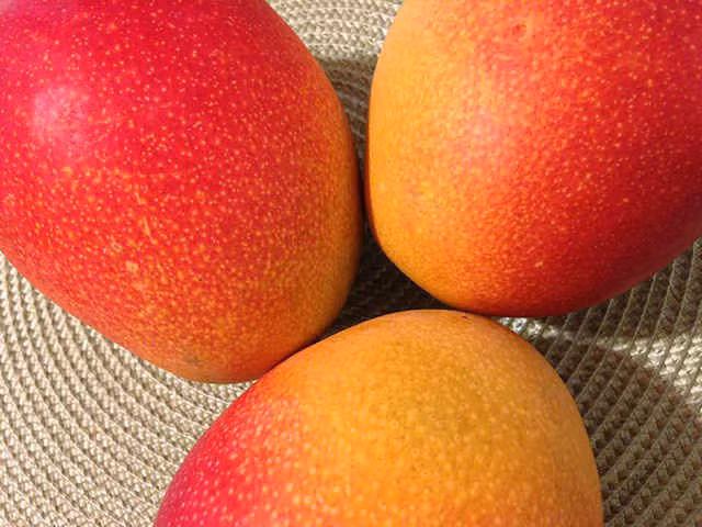 Điều thú vị bạn chưa biết về quả xoài: Làm tăng ham muốn tình dục ảnh 1