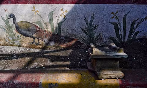 Con chim công được vẽ sát chân tường để tạo cảm giác như đang đi trên mặt đất. Ảnh: AP.