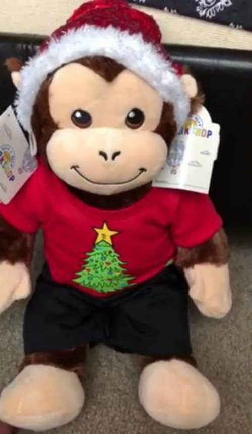 Cậu bé khóc nức nở khi được tặng búp bê ảnh 1