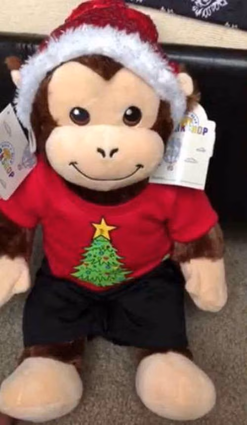 Cậu bé khóc nức nở khi được tặng búp bê ảnh 1