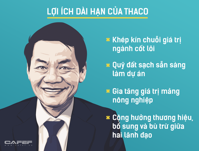 Đầu tư 1 tỷ USD vào HAGL, Thaco muốn gì? - Ảnh 3.