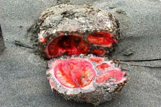 hiện tượng thiên nhiên kỳ quặc 7