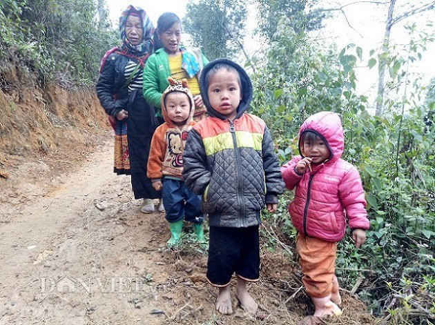 Làng 100% hộ nghèo nhưng nhà toàn bằng gỗ quý ảnh 5