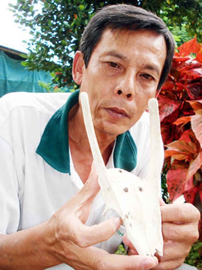 Kỷ vật một thời đi săn là cái sọ mễn của ông Huê