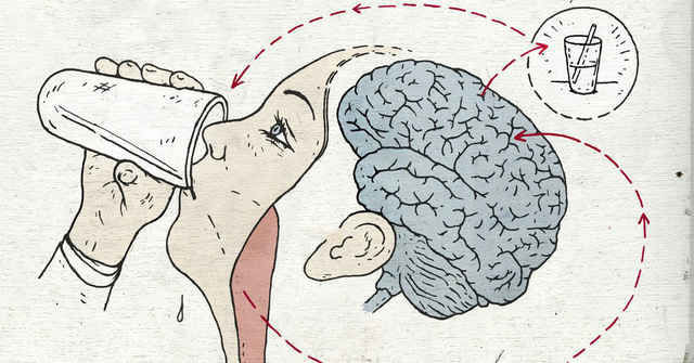 Rất nhiều dân văn phòng tự "giết chính mình" chỉ vì lười làm 1 việc ít ai để ý ảnh 2