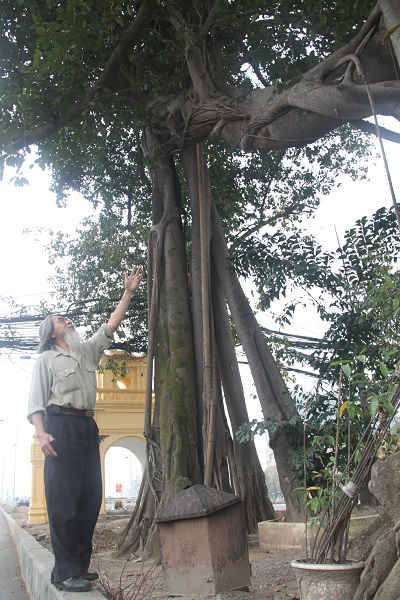 Chuyện kể về Thành hoàng làng Hà Nội – Kỳ 12: Làng thờ ba vợ chồng ảnh 2