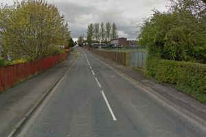 Chó thông minh cứu chủ thoát cưỡng hiếp ảnh 1