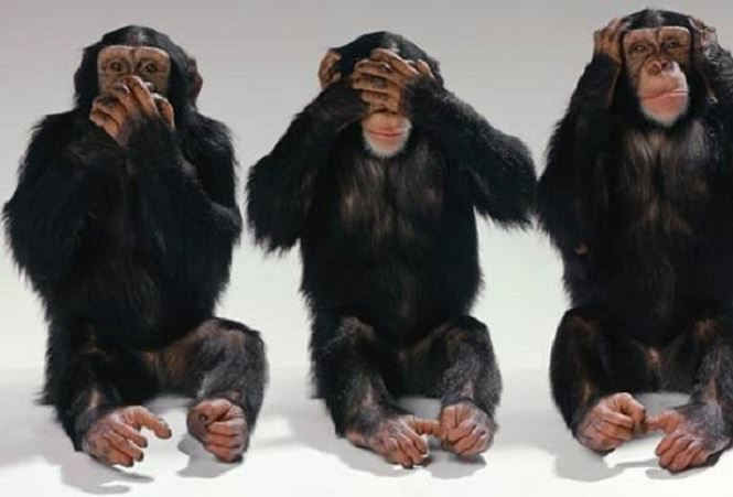 Sự giống nhau đáng ngạc nhiên giữa tinh tinh và người - ảnh 2