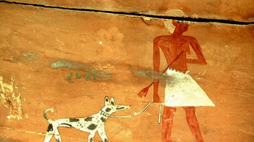 13 phat minh phi thuong cua Ai Cap co dai thay doi ca the gioi-Hinh-5