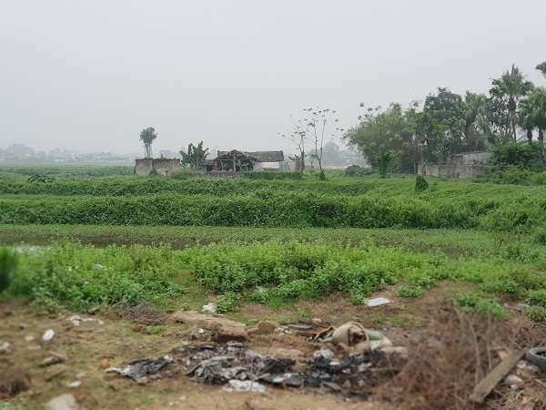 Khu dịch vụ 2 sau 38 tháng thuê đất đến nay vẫn để đất hoang hóa