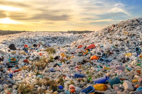 Top đầu thế giới, 'thành tích' đáng lo ngại của Việt Nam