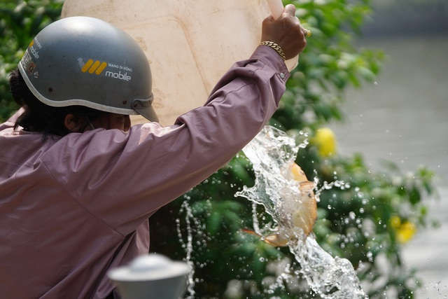 Hà Nội: Cá chép đi cầu trượt lên chầu Trời - 13