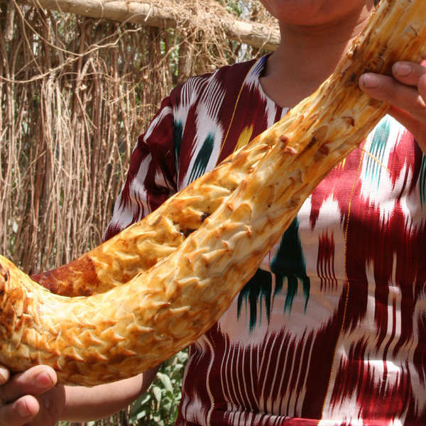 Thuốc cho người thận yếu, thiếu “tinh binh”